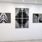 conjunto exposição